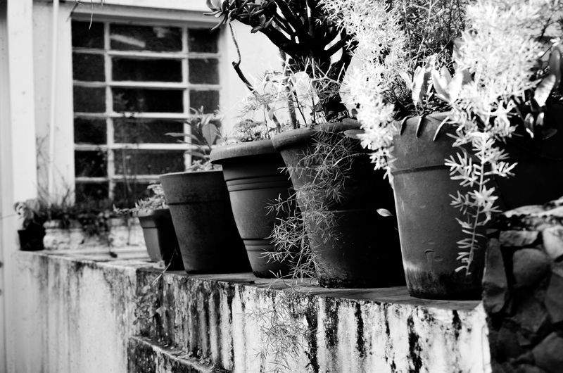 デジタルワールド株式会社 - Image 2